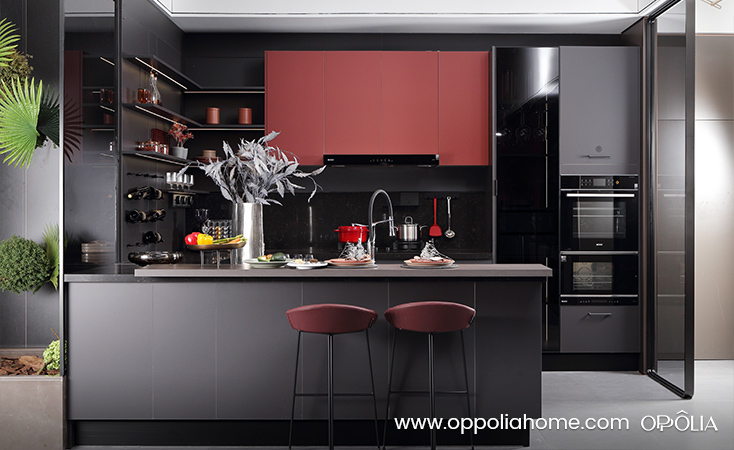 Muebles de cocina en gris y rojo con acabado lacado mate