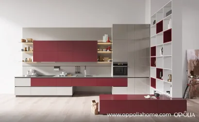 Grey and Red Kitchen Design with Partition Cabinets