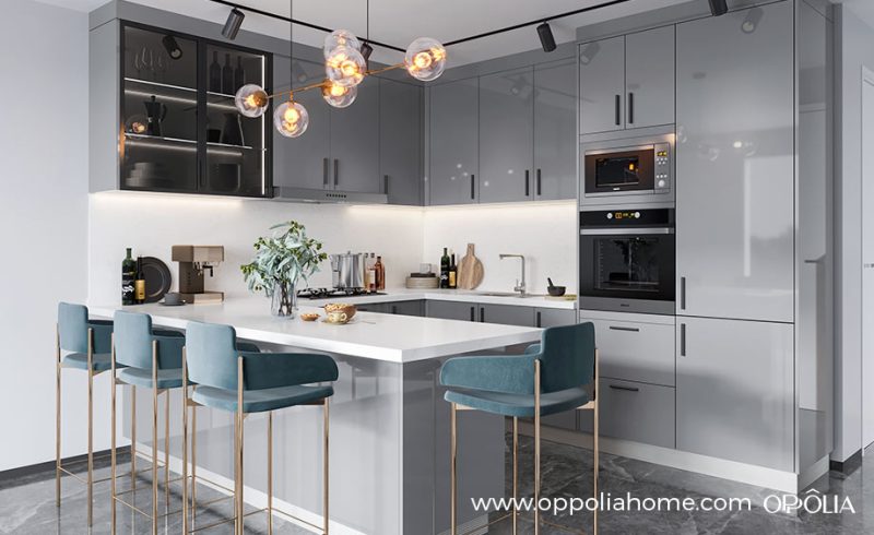 Modern Ready to Assemble Kitchen Cabinets | OPPOLIA