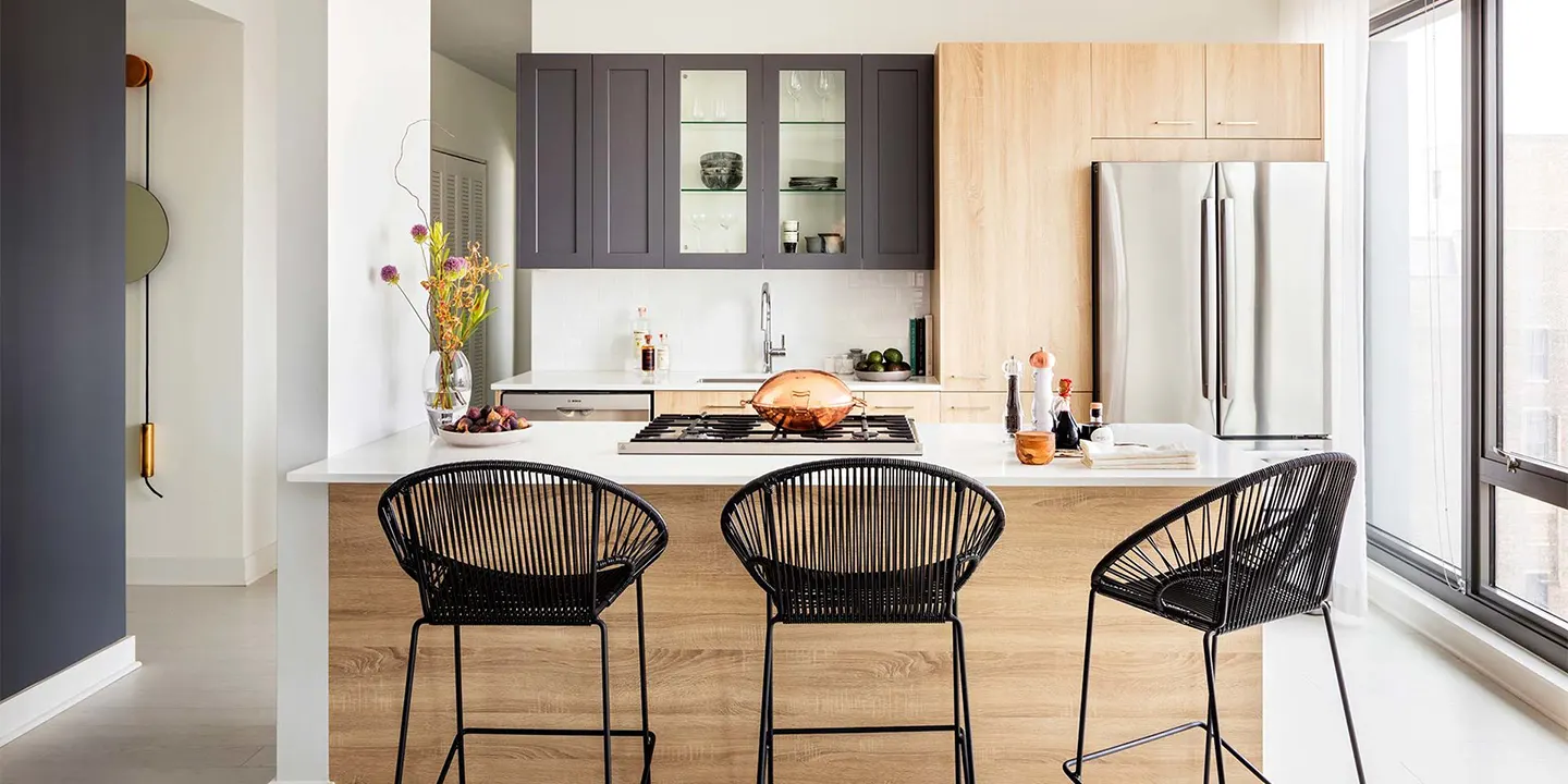 Kitchen Cabinets Chicago Luxury Apartment Project