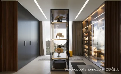 Modern Luxury Closet in Dark Grey and Dark Wood