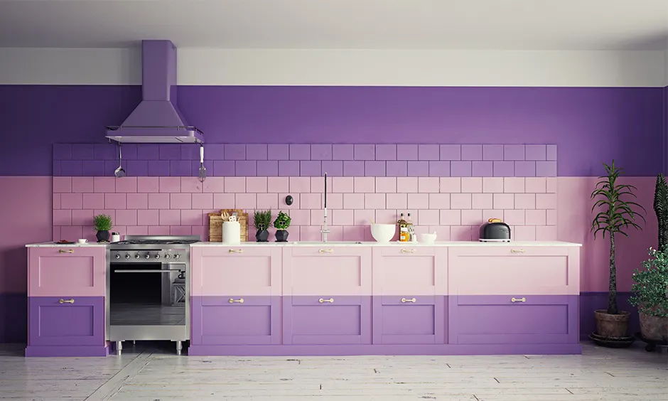 modern kitchen color in purple and pink